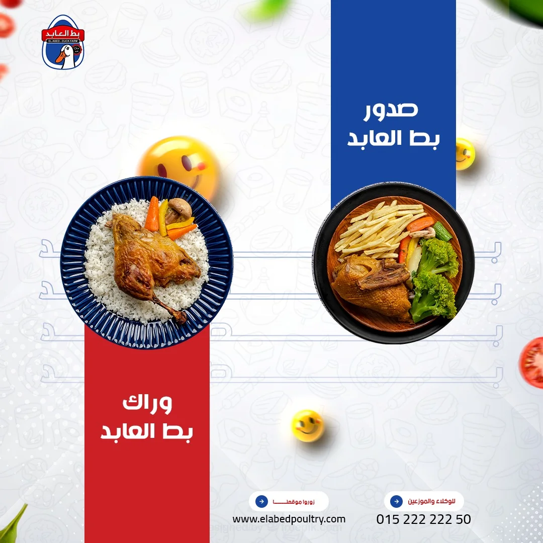 بط العابد - صدور ووراك بط العابد