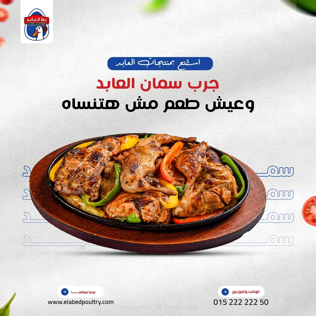 بط العابد - جرب سمان العابد