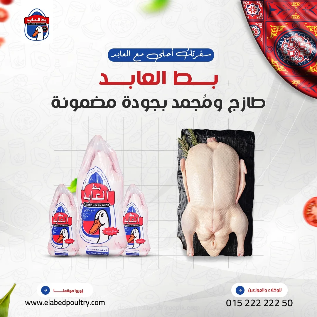 بط العابد - طازج ومجمد بجودة مضمونة