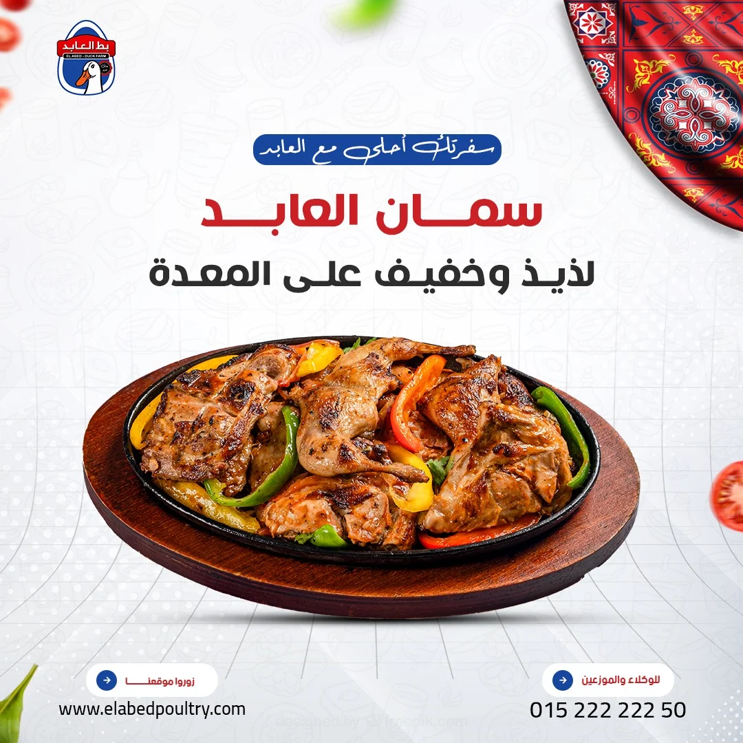 بط العابد - سمان العابد لذيذ وخفيف على المعدة